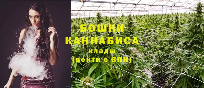 Бошки марихуана Ganja  наркота  Полысаево 